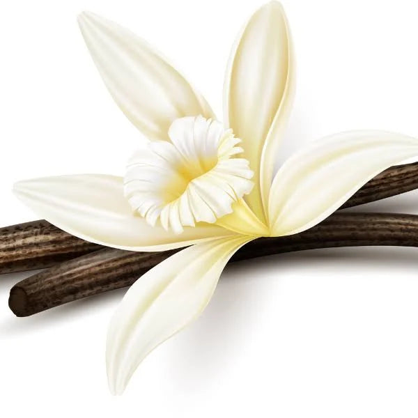 FRAGRANCE VANILLE