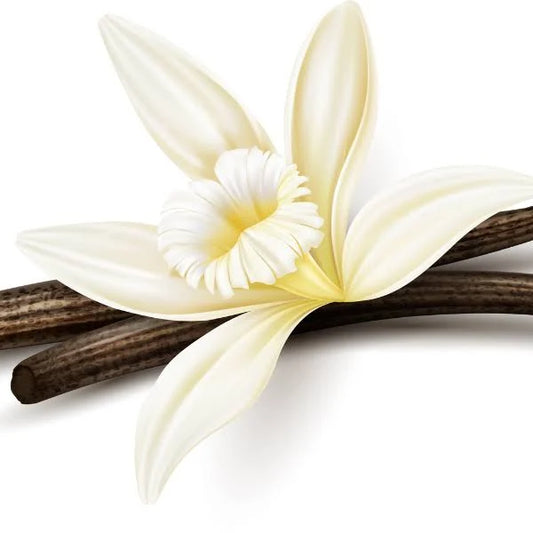 FRAGRANCE VANILLE